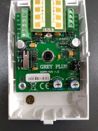 EZS ANTES 2020 (7)-800