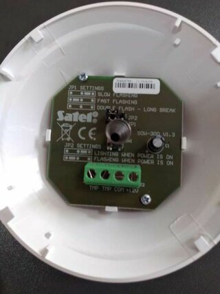 EZS ANTES 2020 (8)-800