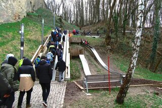 IMG_0223