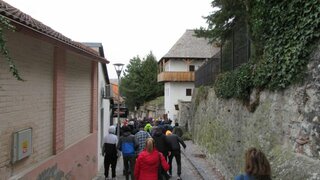 IMG_0226