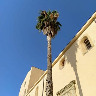 IMG_20201002_220859_713