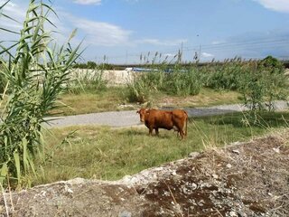 received_338611294254662