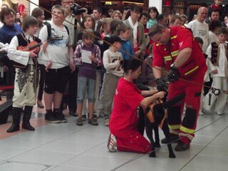 Laugaricio 1.de2013 (21)