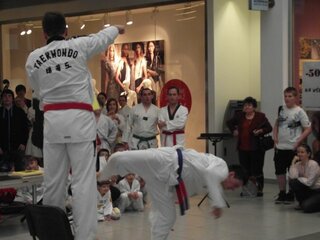 TRD LAUGARICIO (112)