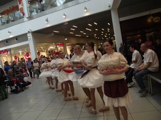 TRD LAUGARICIO (140)