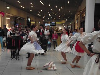 TRD LAUGARICIO (144)