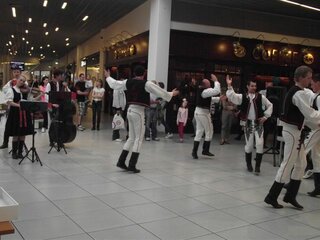 TRD LAUGARICIO (182)