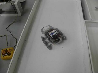 Súťaže - P4030871