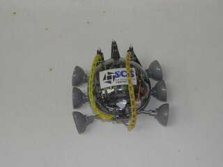 Súťaže - P4030872