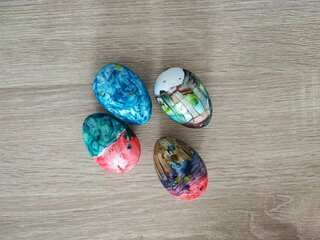 IMG_20240327_094438(1)