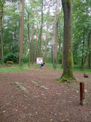 Za krajšiu planétu ZEM (9)-800