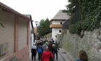 IMG_0226